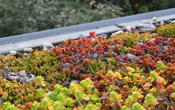the cost of Cowstrandburn green roof installation
