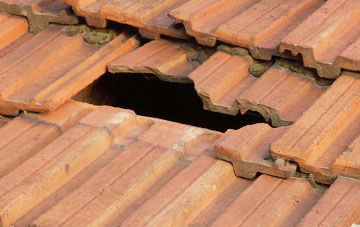 roof repair Cowstrandburn, Fife