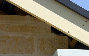 soffit repair Cowstrandburn